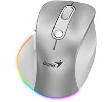 GENIUS Ergo 9000S Pro Wrl mouse Silver 