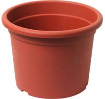 Obal Narcis - terakota 31 cm