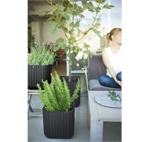 Keter Květináč Keter Cube Planter M antracit