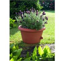 Žardina samozavlažovací Siesta bez závěsu - terakota 30 cm