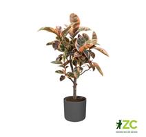 Obal B.For Soft Round - antracit 14 cm 