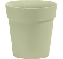 Obal Arke - šalvějový 15 cm