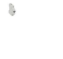 Legrand 419199 6C/1 RX3 6000A