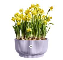 Obal Vibes Fold Bowl - soft lilac 25 cm