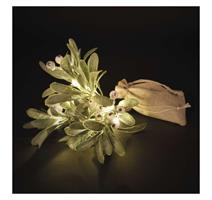 EMOS LED dekorace – větvička jmelí, 2x AA, teplá bílá, časovač