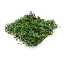 G21 Umělá zelená stěna G21 Listo Berry, 50x50 cm