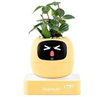 PLANTSIO Ivy 2 gen. žlutý 