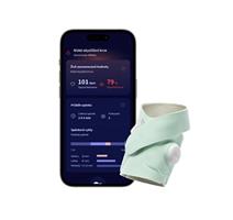 Owlet Dream Sock - Original Mint