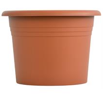 Obal Narcis - terakota 11 cm