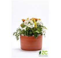 Žardina samozavlažovací Berberis se závěsem - terakota + slonová kost 26 cm