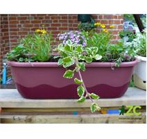 Truhlík samozavlažovací Mareta - růžová + vínová 80 cm