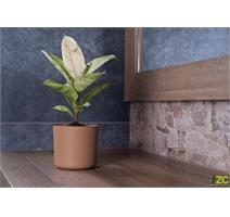 Obal Lora - mocha mousse 14 cm