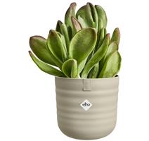 Obal Dune Round - mushroom beige 18 cm