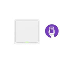 Tesla Smart Switch ZigBee