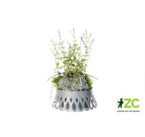 Žardina samozavlažovací Roseta - stříbrná 30 cm 
