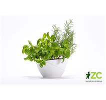 Květináč samozavlažovací Doppio - bílá 14 cm