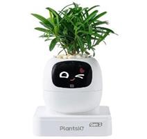 PLANTSIO Ivy 2 gen. bílý 