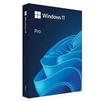 MICROSOFT Windows Pro 11 64-bit CZ USB 