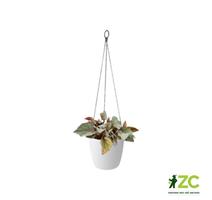 Obal Brussels Hanging Basket - white 18 cm