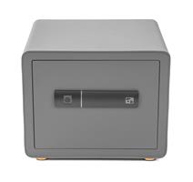 G21 Trezor G21 na otisk prstu 380 x 310 x 300 mm