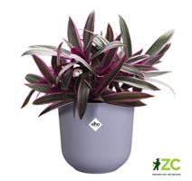 Obal Jazz - lavender lilac 26 cm 