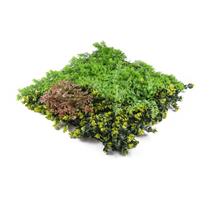 G21 Umělá zelená stěna G21 Listo Forest, 50x50 cm