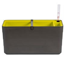 Truhlík samozavlažovací Berberis - antracit + zelená 40 cm