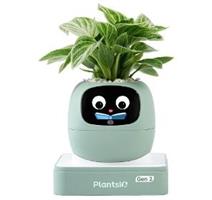 PLANTSIO Ivy 2 gen. zelený 