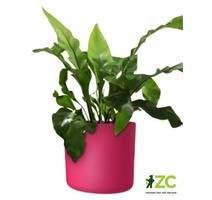 Obal Lora - viva magenta 18 cm