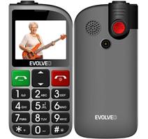 Evolveo EasyPhone FL Silver