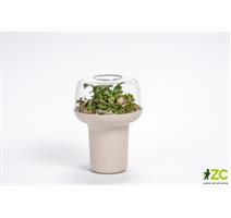 Humidárium - slonová kost s kávovou sedlinou 19  cm