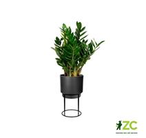 Obal B.For Studio Round - living black 22 cm
