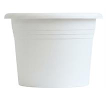 Obal Narcis - bílý 11 cm