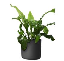 Obal Lora - antracit 35 cm