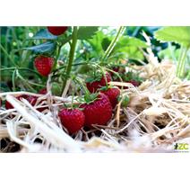 Přírodní sláma na zahradu Rosteto 3 kg