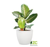 Zavlažovací systém (baňka) 110 Bördy M Green 20 cm - 220 ml