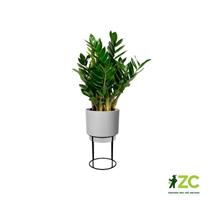 Obal B.For Studio Round - living concrete 22 cm