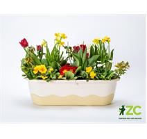 Truhlík samozavlažovací Mareta - sv.+ tm. slonová kost 60 cm