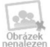 SW-STAHL 25015L Spec.vypust.pripravek