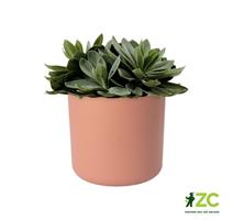 Obal B.For Soft Round - delicate pink 16 cm
