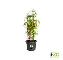 Obal Green Basics Tomato Pot - living black 33 cm