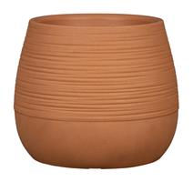 Obal 205 Maple 30