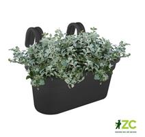 Obal Green Basics Easy Hanger Large - living black