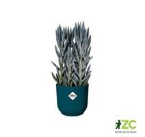 Obal Vibes Fold Mini - deep blue 9 cm