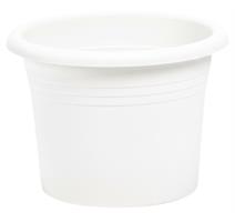 Obal Narcis - bílý 25 cm