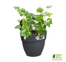 Květináč Vibia Campana Easy Hanger Small - anthracite
